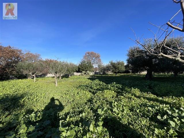 Image No.15-Trullo de 4 chambres à vendre à Martina Franca