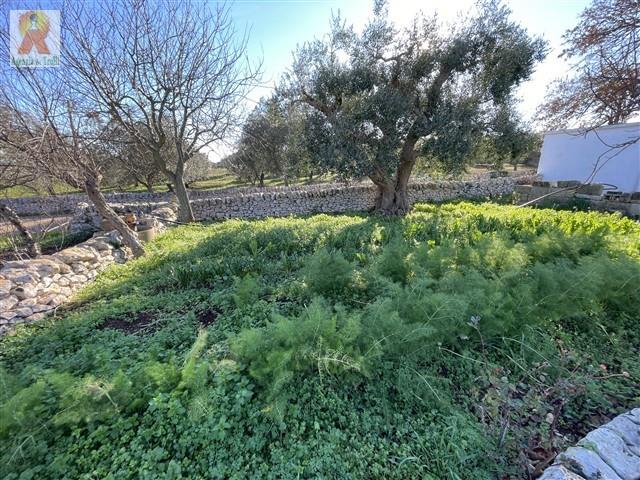 Image No.17-Trullo de 4 chambres à vendre à Martina Franca