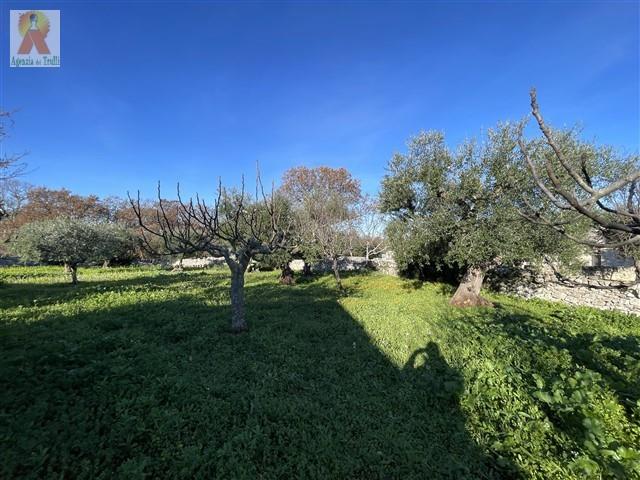 Image No.21-Trullo de 4 chambres à vendre à Martina Franca