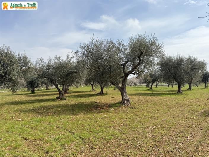 Image No.29-2 Bed Country Property for sale