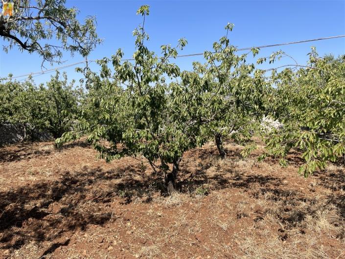 Image No.44-1 Bed Trullo for sale