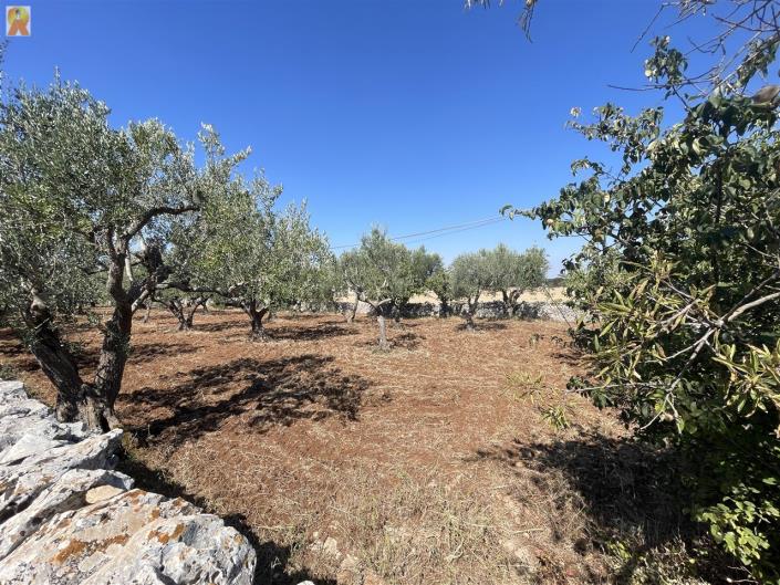 Image No.47-1 Bed Trullo for sale