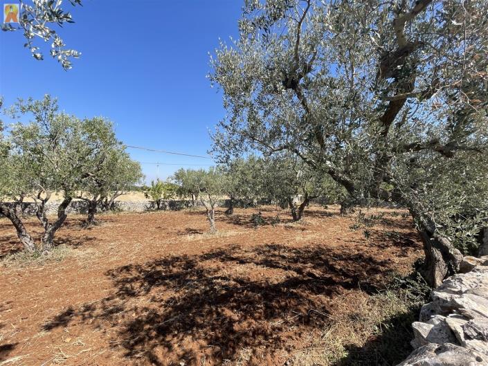 Image No.48-1 Bed Trullo for sale