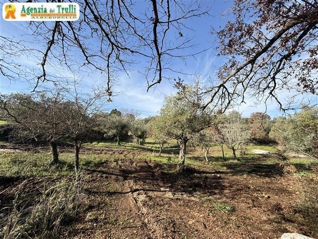 Image No.32-1 Bed Trullo for sale