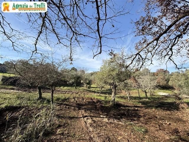 Image No.34-1 Bed Trullo for sale