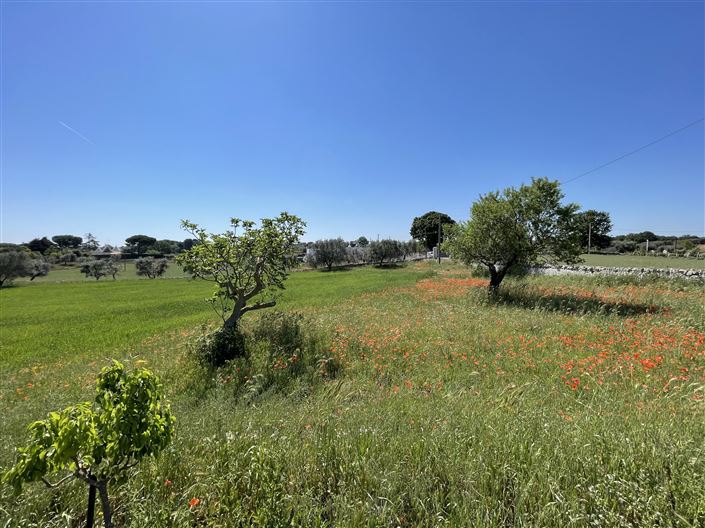 Image No.29-4 Bed Farmhouse for sale