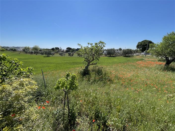 Image No.28-4 Bed Farmhouse for sale