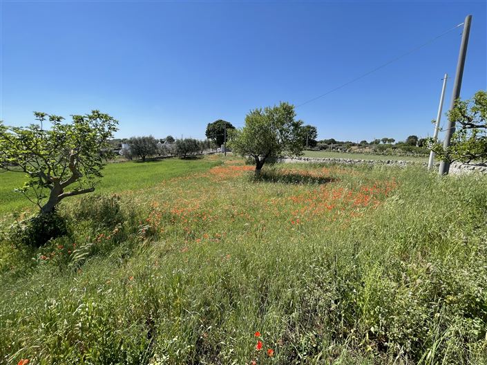 Image No.23-4 Bed Farmhouse for sale