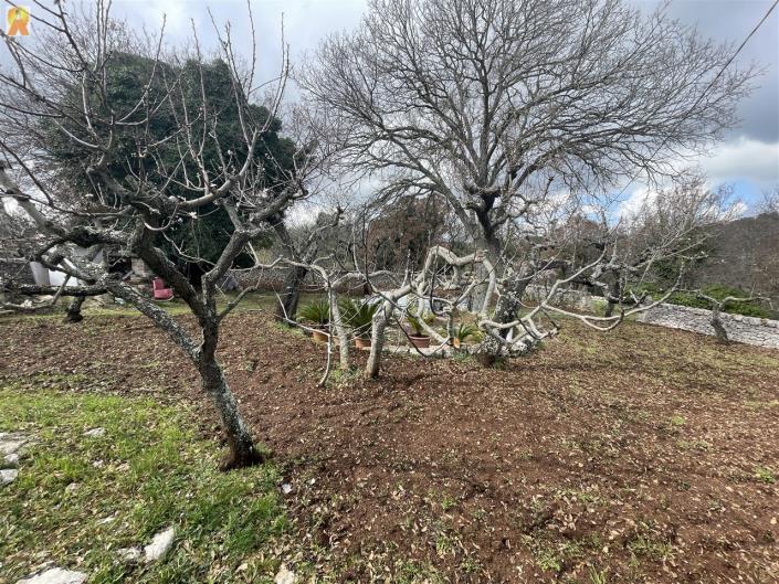 Image No.25-Trullo de 1 chambre à vendre à Alberobello