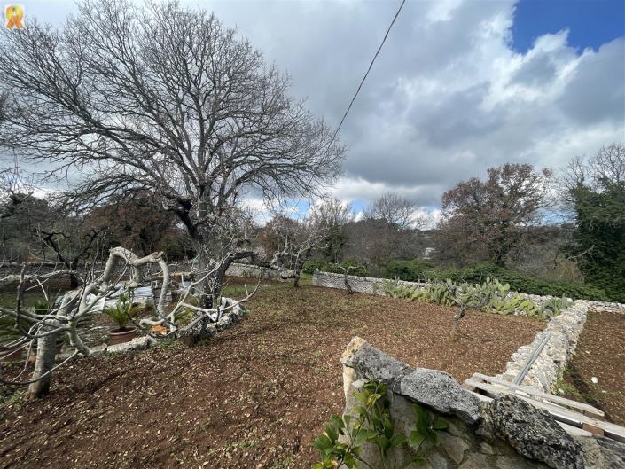 Image No.26-Trullo de 1 chambre à vendre à Alberobello