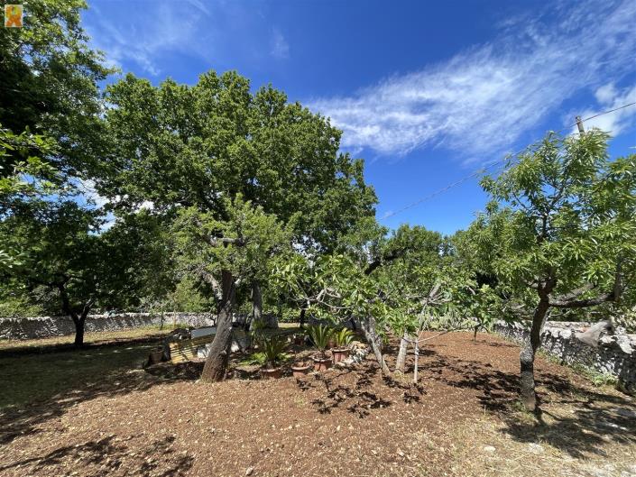 Image No.34-Trullo de 1 chambre à vendre à Alberobello