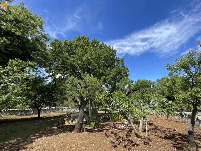 Image No.35-Trullo de 1 chambre à vendre à Alberobello