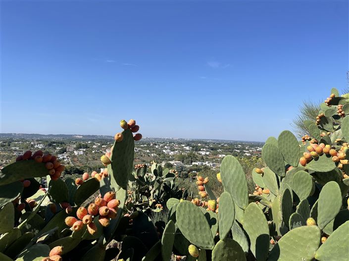 Image No.41-2 Bed Townhouse for sale