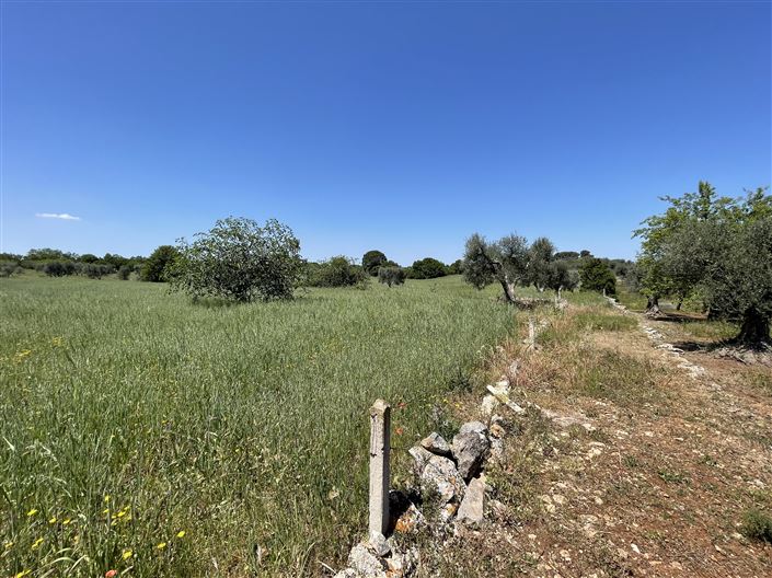 Image No.27-1 Bed Country House for sale