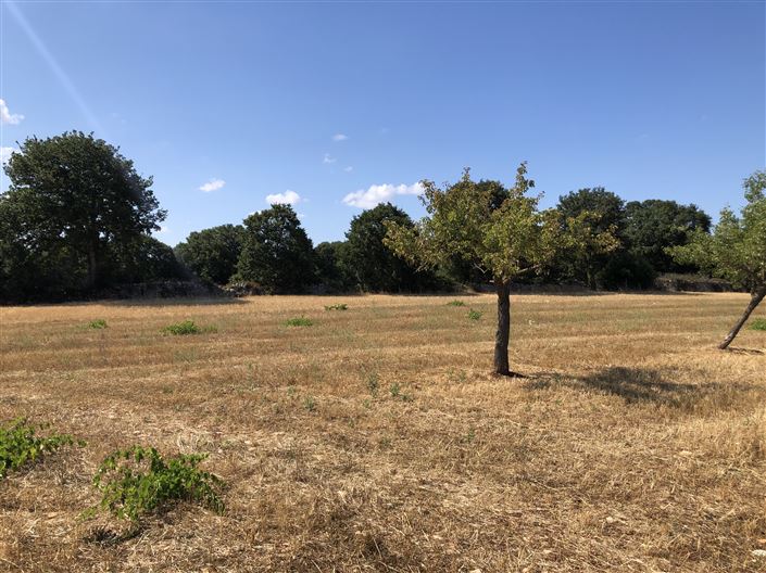 Image No.19-1 Bed Country House for sale