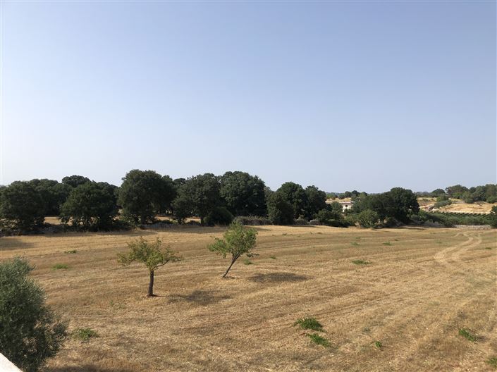 Image No.37-1 Bed Country House for sale