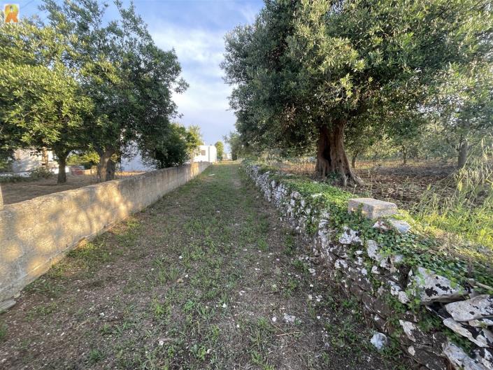 Image No.21-1 Bed Trullo for sale