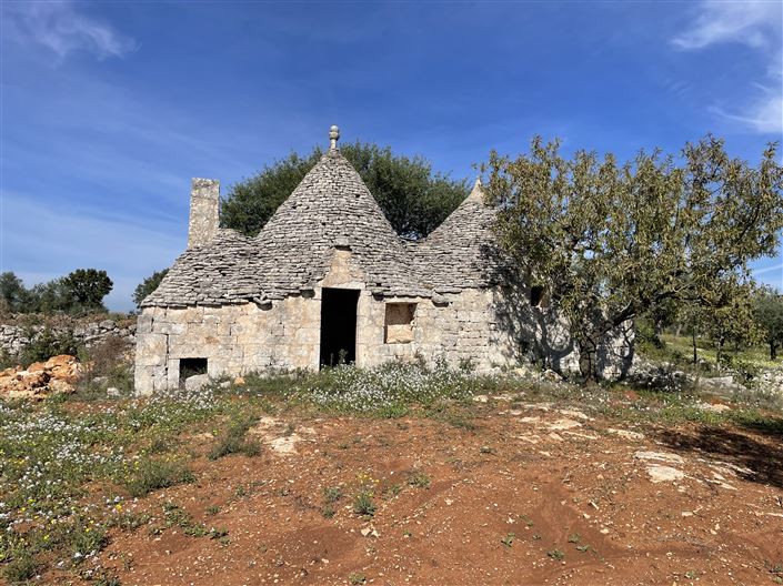 Image No.1-1 Bed Country House for sale