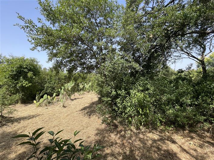 Image No.26-2 Bed Country House for sale