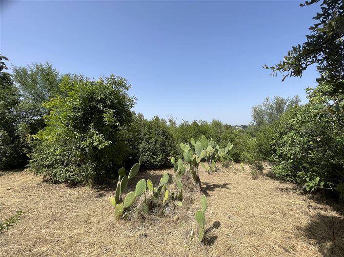 Image No.27-2 Bed Country House for sale