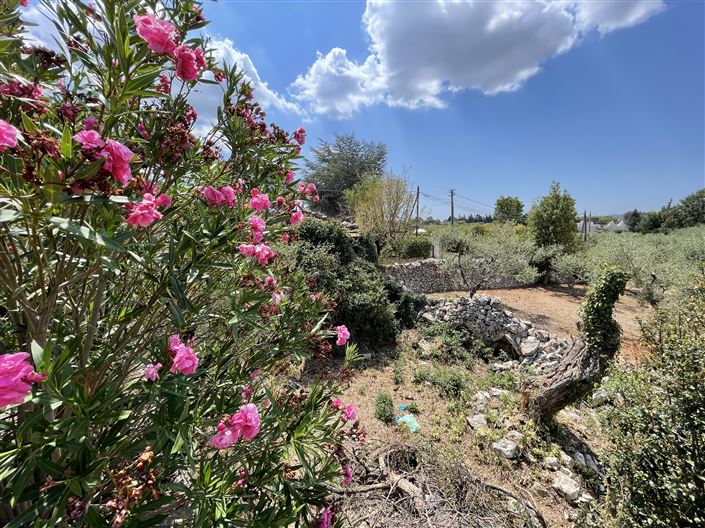 Image No.30-2 Bed Country House for sale