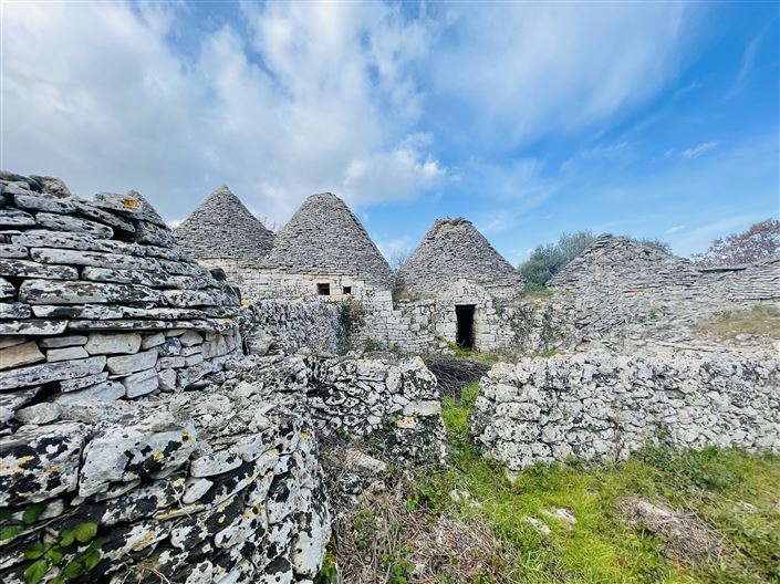 Image No.13-Ferme de 3 chambres à vendre à Martina Franca