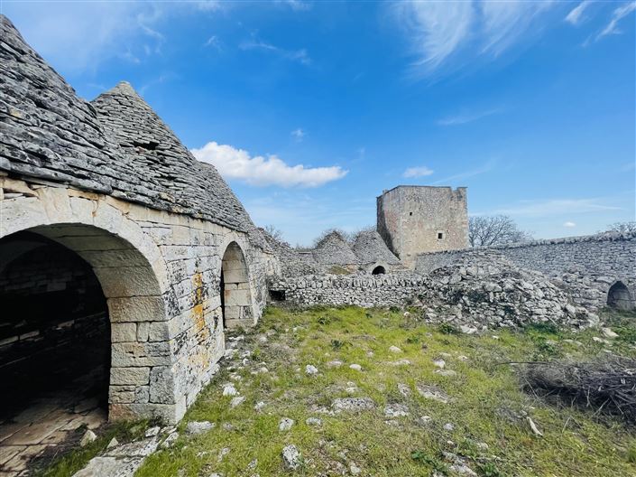 Image No.2-Ferme de 3 chambres à vendre à Martina Franca