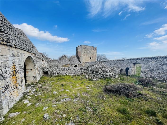 Image No.3-Ferme de 3 chambres à vendre à Martina Franca