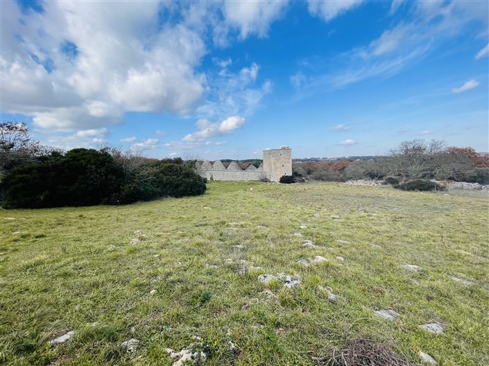 Image No.33-Ferme de 3 chambres à vendre à Martina Franca