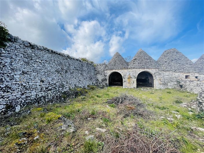 Image No.6-Ferme de 3 chambres à vendre à Martina Franca
