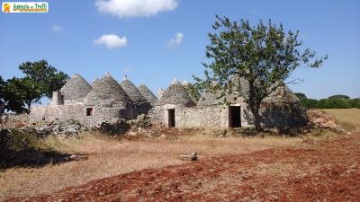 1 - Martina Franca, Trullo