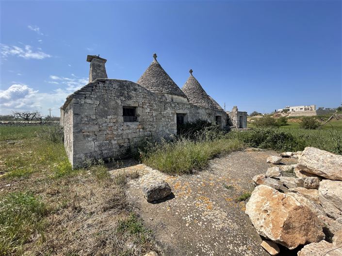 Image No.11-Maison de campagne de 2 chambres à vendre à Martina Franca