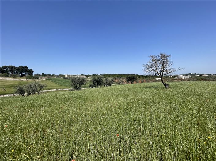 Image No.18-Maison de campagne de 2 chambres à vendre à Martina Franca