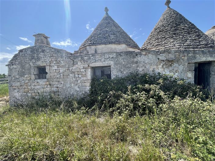 Image No.2-Maison de campagne de 2 chambres à vendre à Martina Franca