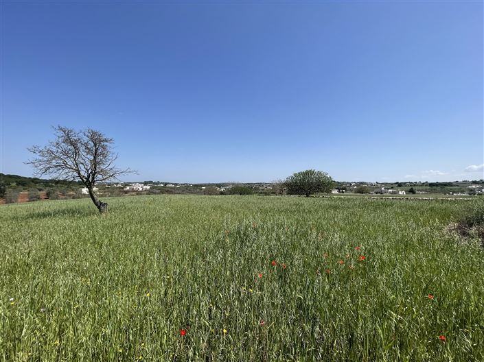 Image No.20-Maison de campagne de 2 chambres à vendre à Martina Franca