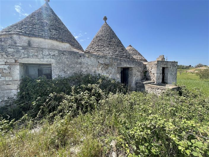 Image No.3-Maison de campagne de 2 chambres à vendre à Martina Franca