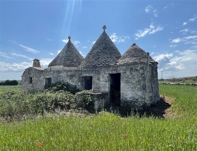 Image No.4-Maison de campagne de 2 chambres à vendre à Martina Franca
