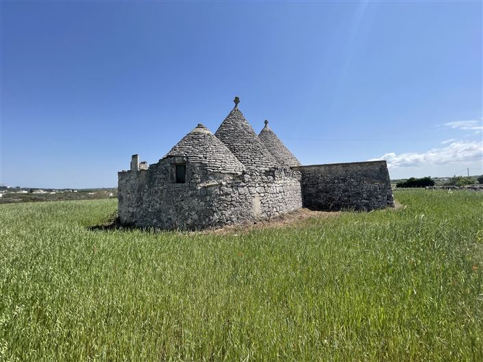 Image No.6-Maison de campagne de 2 chambres à vendre à Martina Franca