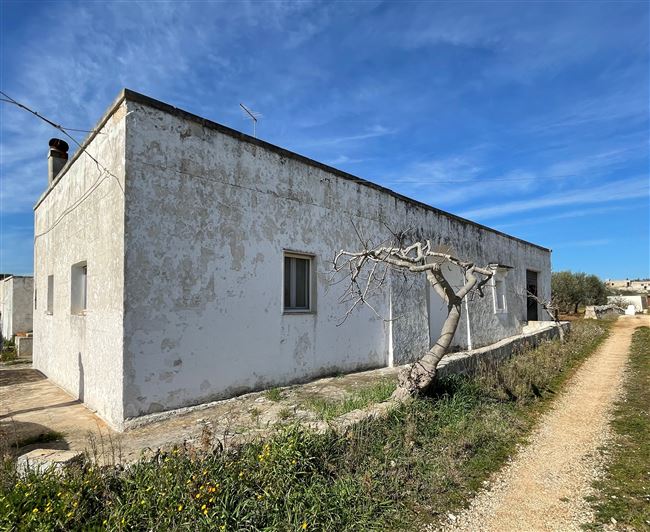 Image No.3-3 Bed Country House for sale