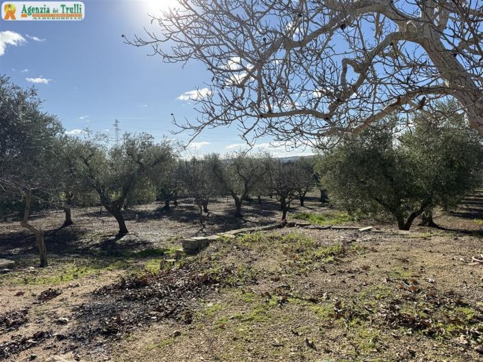 Image No.28-1 Bed Country House for sale