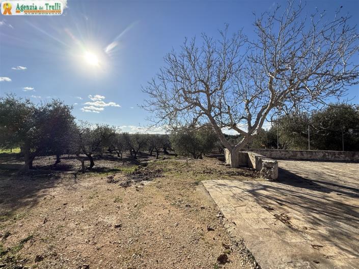 Image No.29-1 Bed Country House for sale