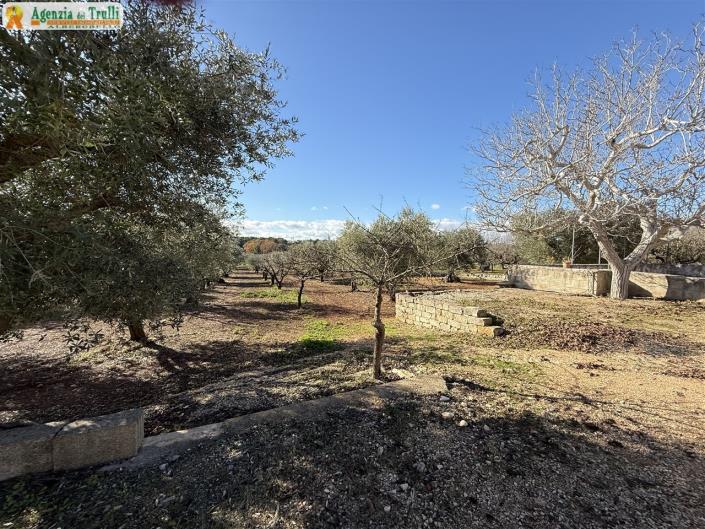 Image No.30-1 Bed Country House for sale