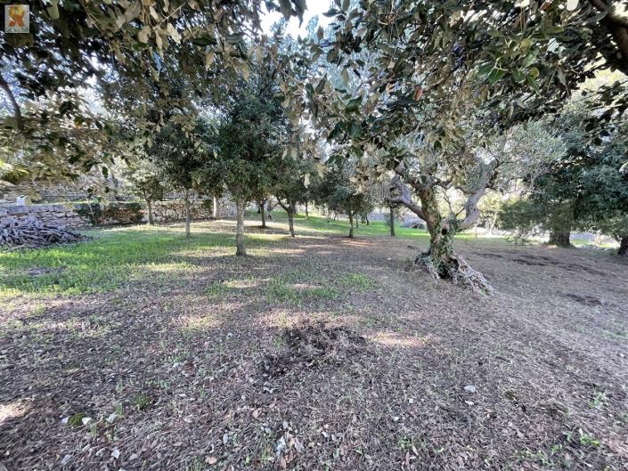 Image No.45-3 Bed Trullo for sale