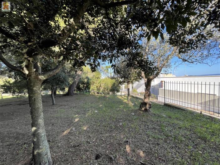 Image No.46-3 Bed Trullo for sale