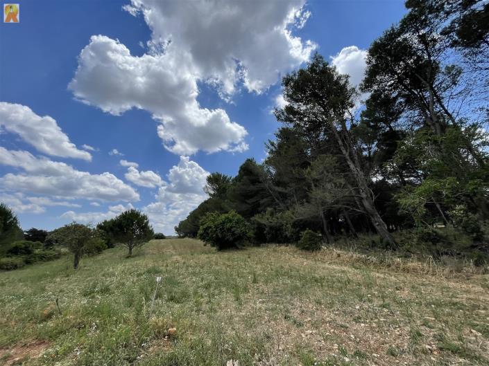 Image No.28-Maison de campagne de 2 chambres à vendre à Martina Franca