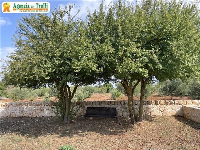 Image No.12-Trullo de 4 chambres à vendre à Alberobello