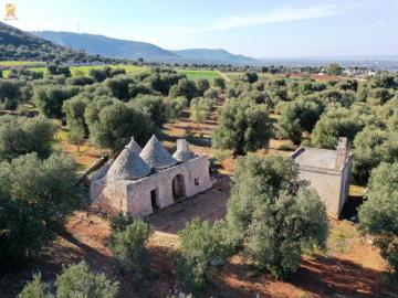 1 - Monopoli, Trullo