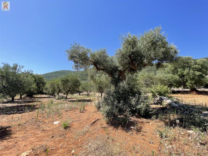 Image No.39-3 Bed Trullo for sale