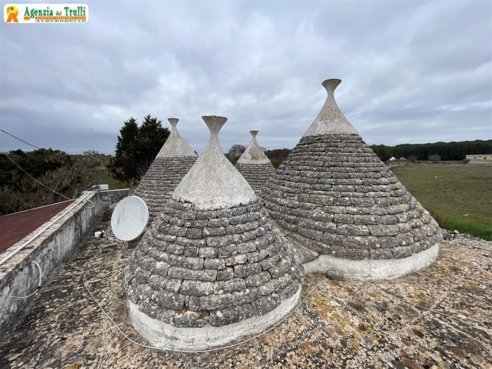 Image No.28-1 Bed Country House for sale