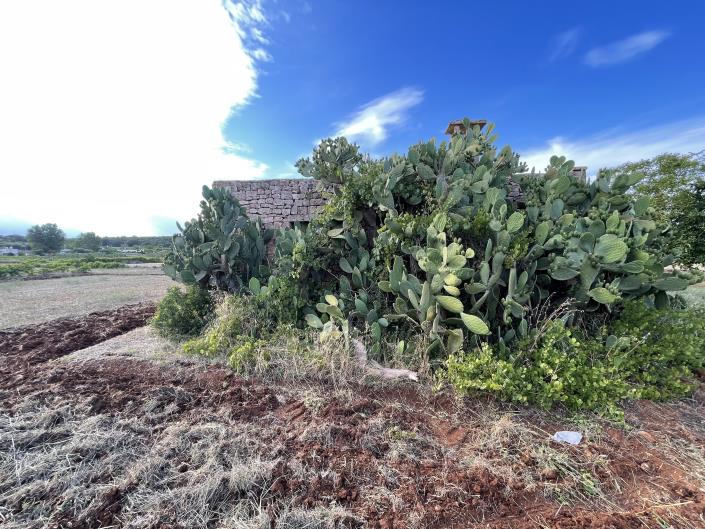 Image No.6-2 Bed Trullo for sale